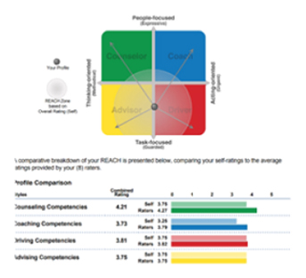 REACH Personality Profile 2x2 Grid